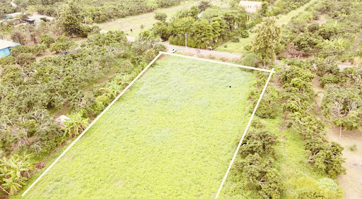 ขายที่ดินเปล่าเชียงใหม่ 2 ไร่ 42 ตารางวา